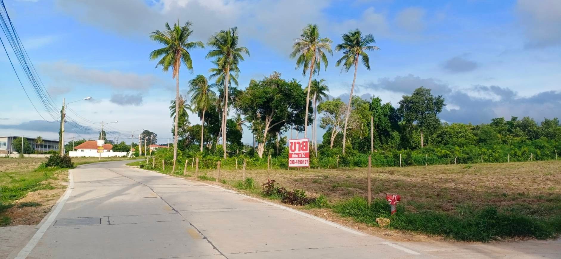 ทำเลทอง2ไร่ เหมะกับการลงทุน ห้ามพลาด