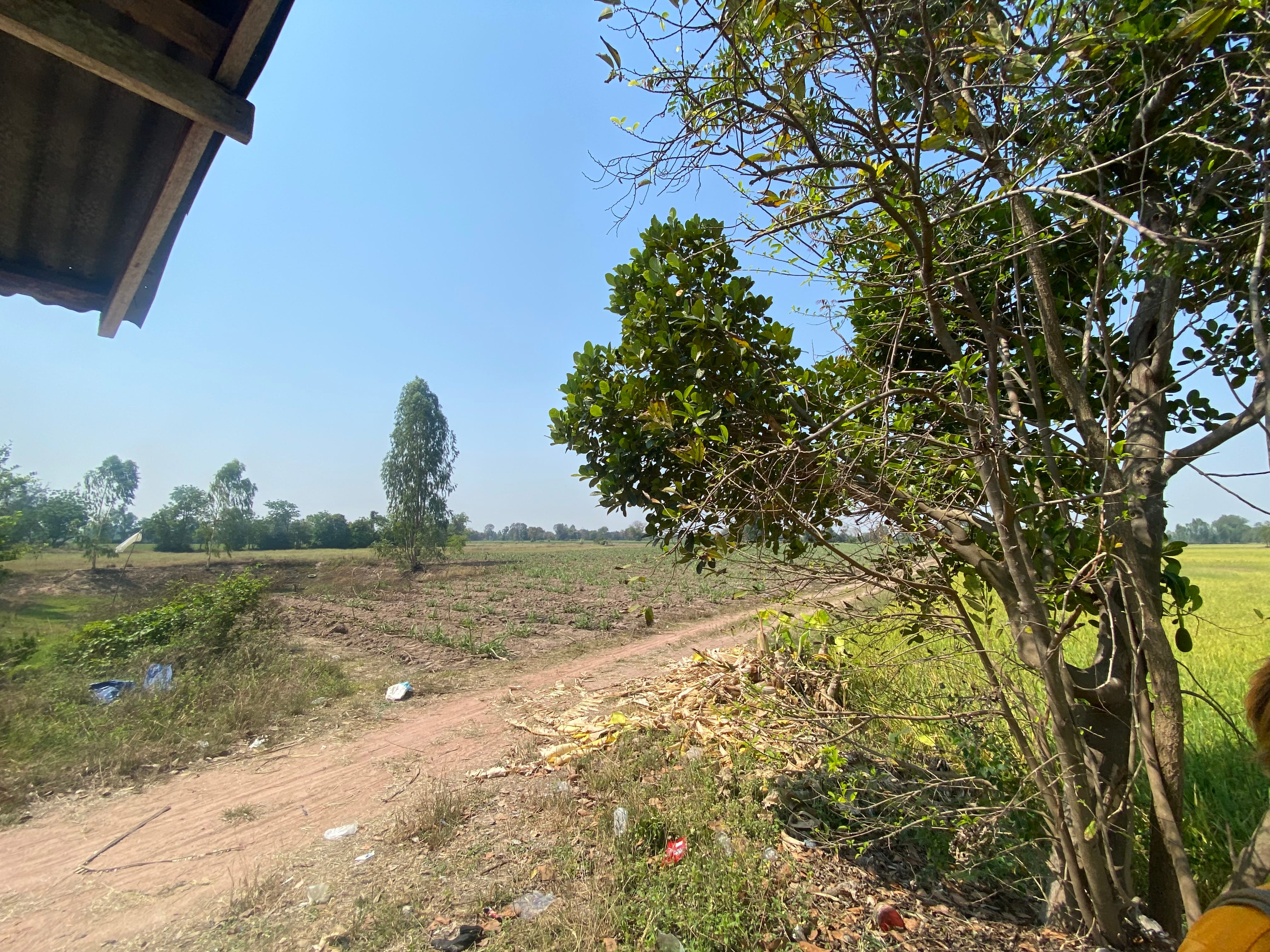ที่ดินเพื่อการเกษตร
