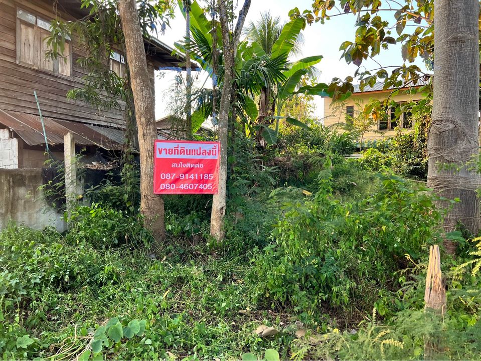 ขายที่ดินเลย เมืองเลย 0-0-34.8
