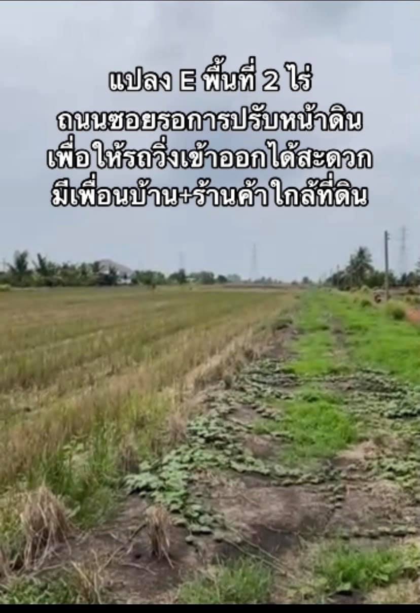 ที่ดินเปล่า แปลงยาว ฉะเชิงเทรา 2 ไร่