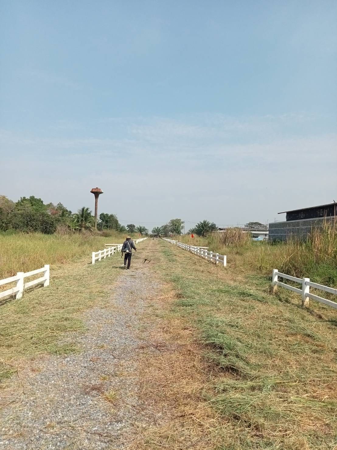 ขายที่ดินปทุมธานี หนองเสือ 200 ตางวา