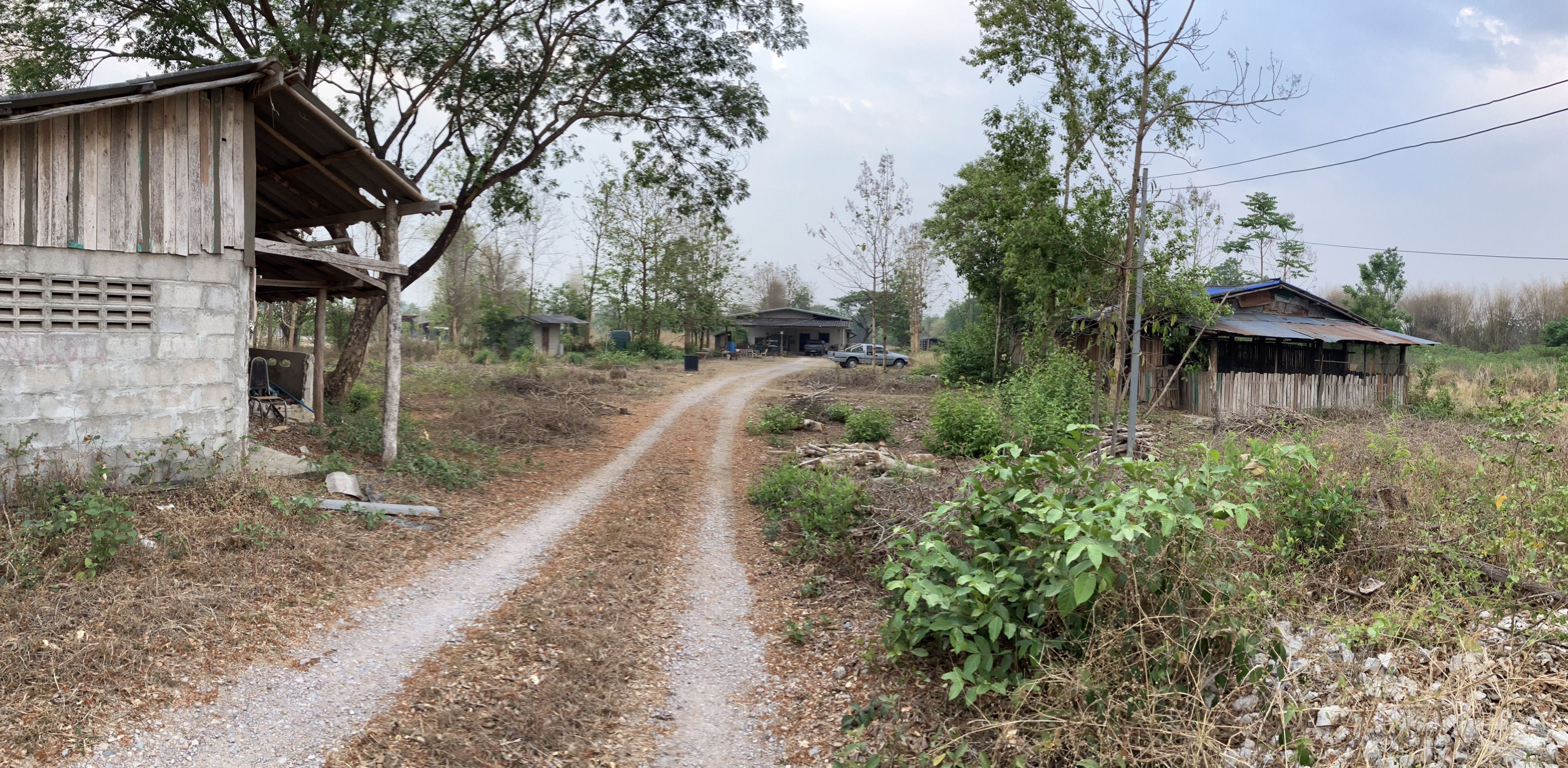 ที่สวน เกือบ 12 ไร่ บ้านสวนพร้อมโรงเรือนและสระน้ำ ใน บ้านหล่ายทุ่ง แม่ทะ ลำปาง