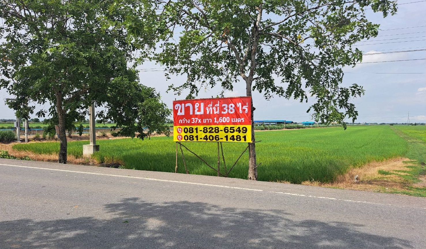 ขายที่ดิน 38 ไร่ ติดถนนใหญ่ คลอง 12 ลำลูกกา ปทุมธานี