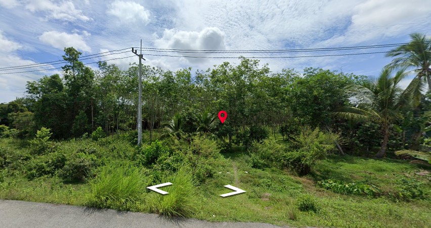 ที่ดินเปล่า เมืองนราธิวาส 5-0-4.3