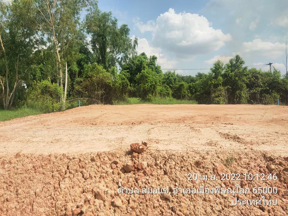 ที่ดินเปล่า อ.เมือง พิษณุโลก 50.5 ตรว.