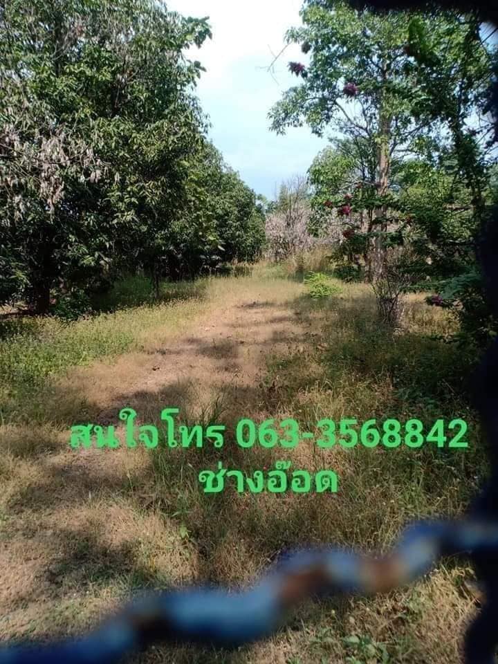 ขายที่ดิน ตาก 2-1-48 ไร่