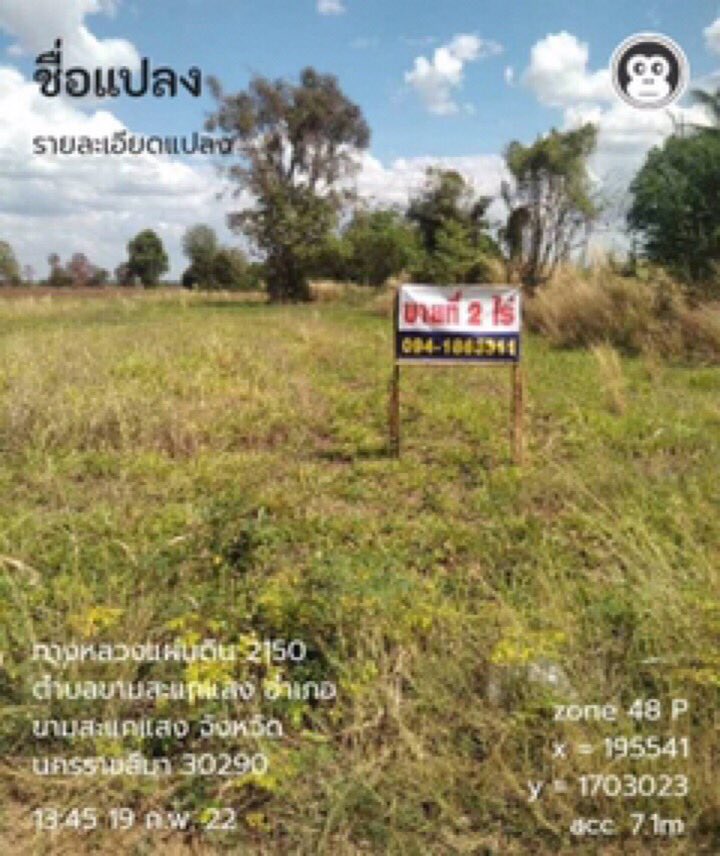 ที่ดินเปล่า ขามสะแกแสง โคราช 2-1-31