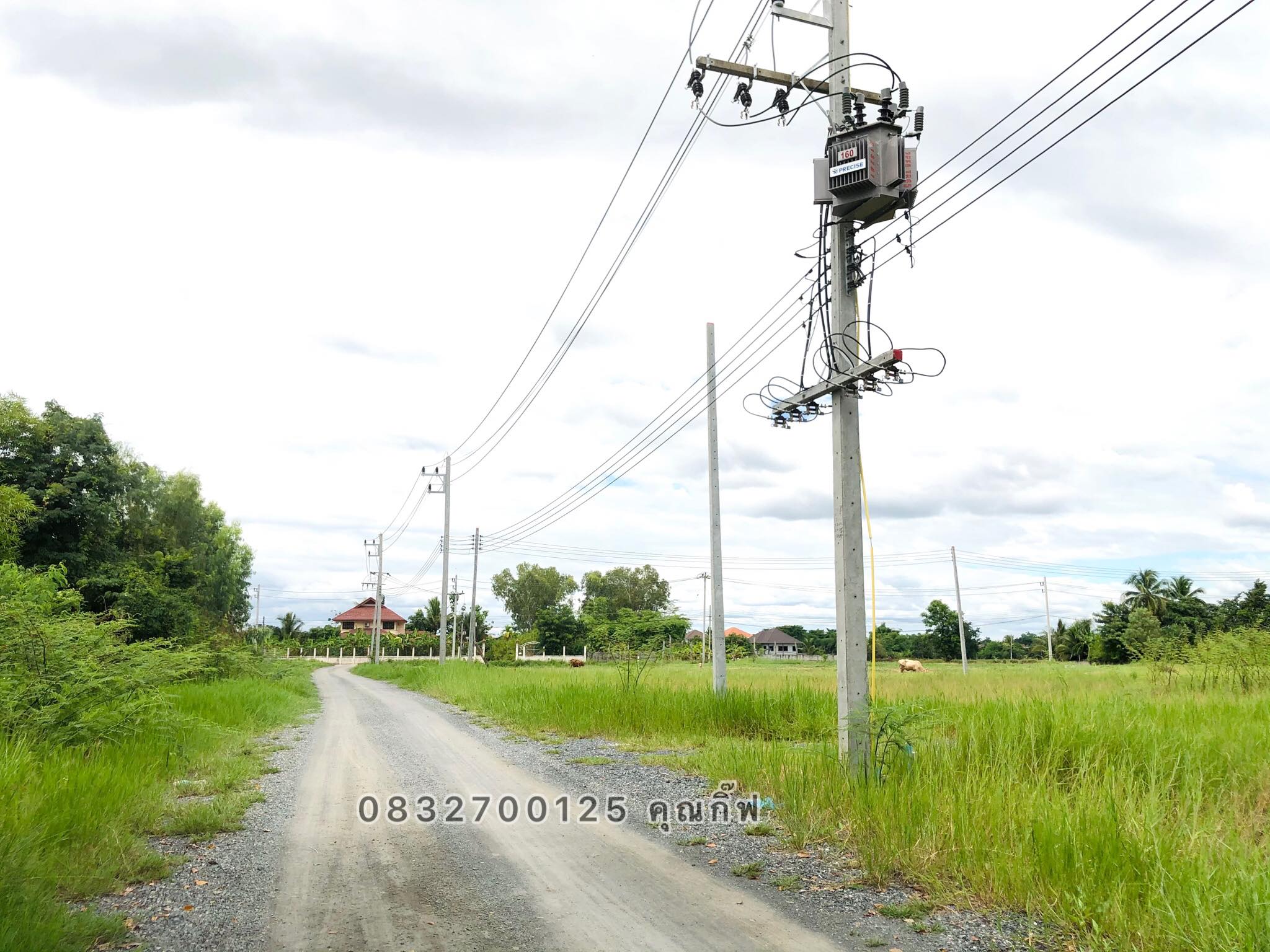 ขายที่ดินเชียงใหม่ อ.ดอยสะเก็ด จ.เชียงใหม่ 56 ตร.ว.