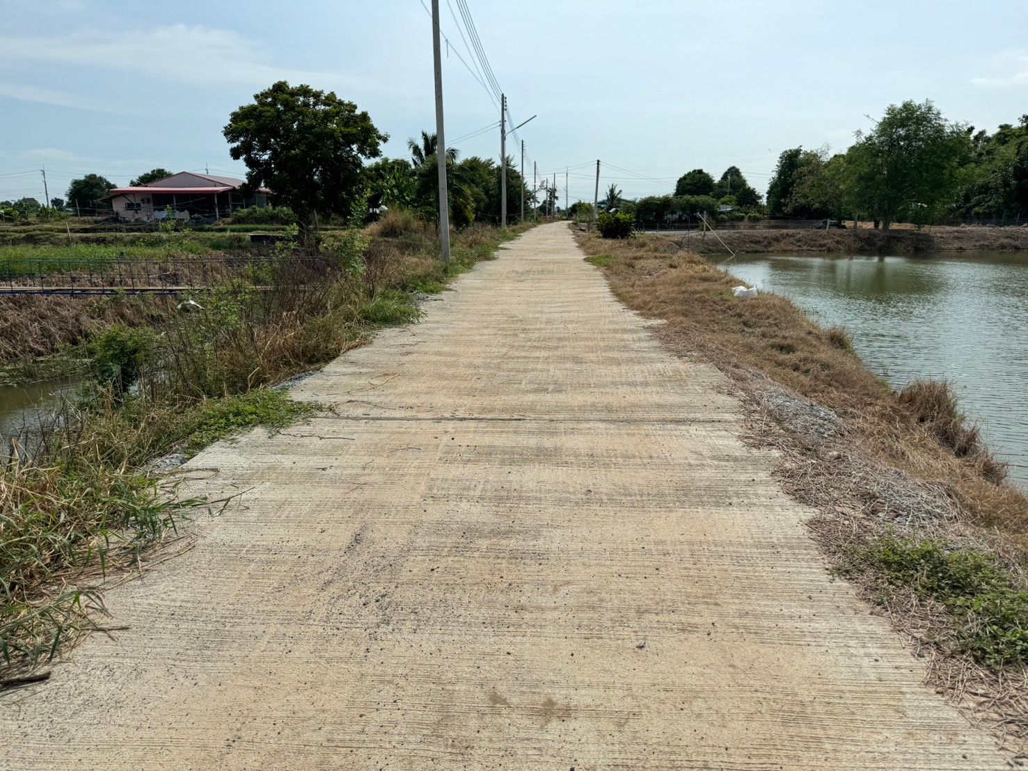 ที่ดินเหมาะสำหรับอยู่อาศัย หรือสำนักงาน