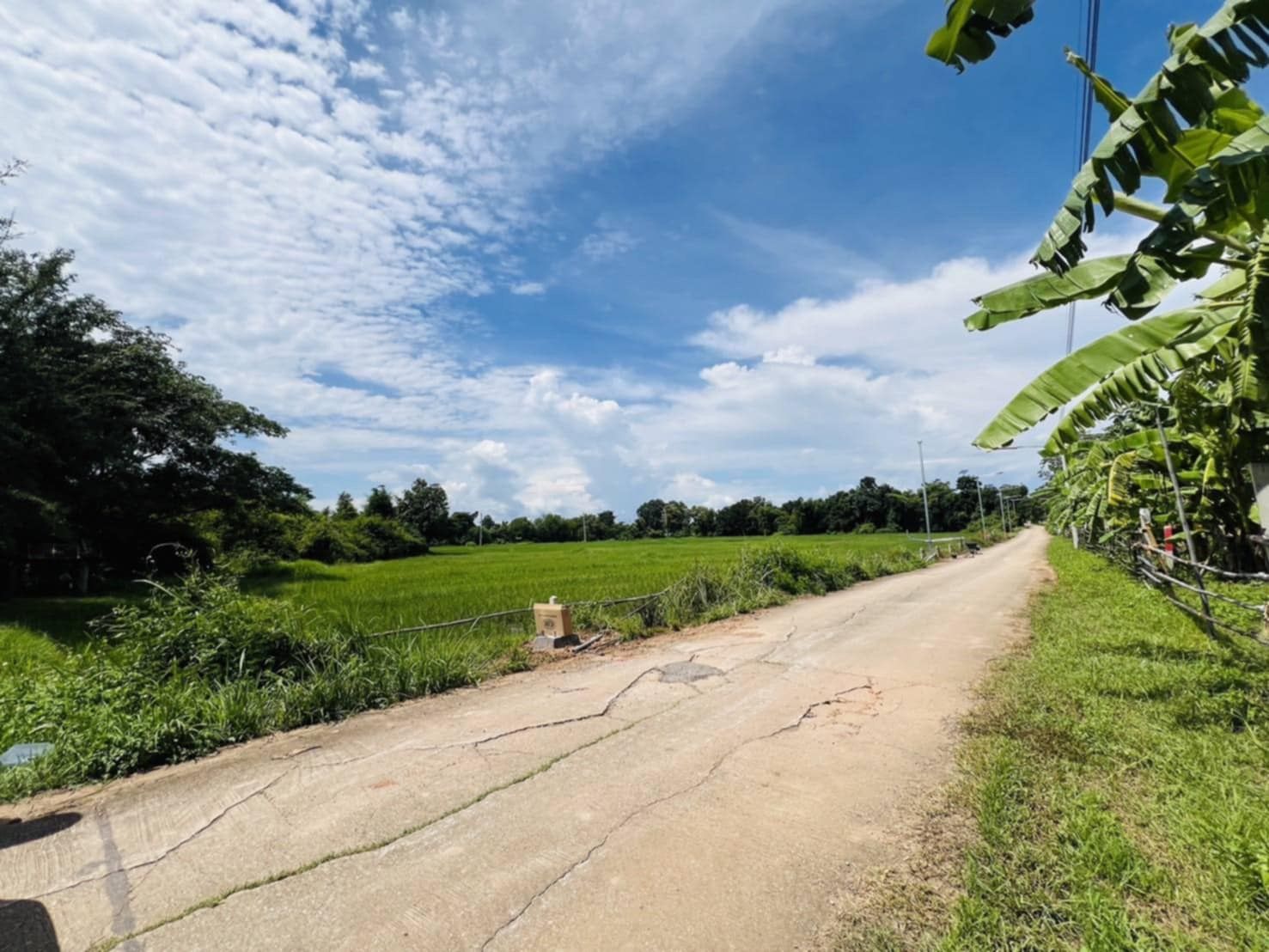 ขายที่ดินทำเลธุรกิจ 