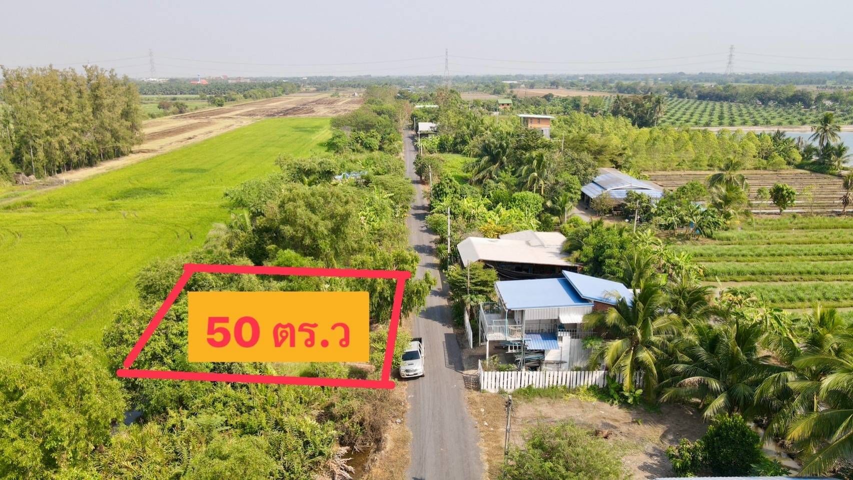 ขายที่ดินปทุมธานี ที่ดินทำเลดี เหมาะปลูกบ้านมาก อยู่ในแหล่งชุมชน หนองเสือ ปทุมฯ 0-0-50