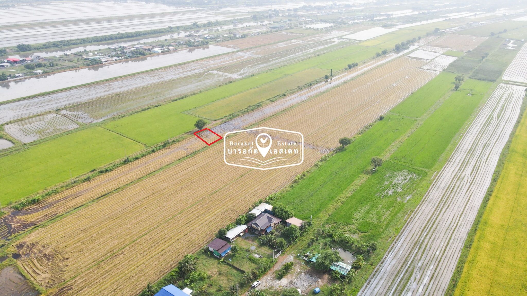 3 แสนบาทเท่านั้น  ที่ติดถนนซอย  น้ำ -ไฟ พร้อม การเดินทางก็สะดวก