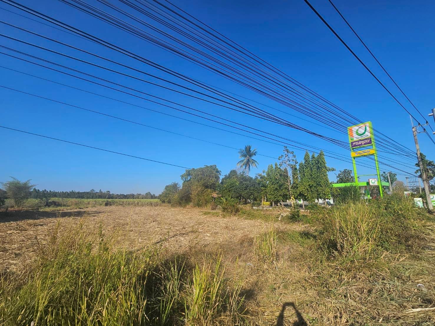 ขายที่ดินขอนแก่น อ.หนองเรือ ติดถนนมลิวรรณ ทำเลดี เดินทางสะดวก น่าลงทุน