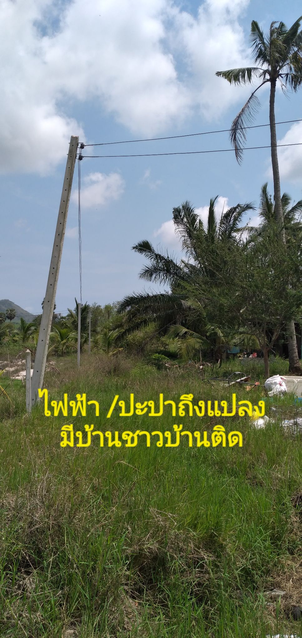 ขายที่ดินประจวบคีรีขันธ์ อ.ทับสะแก 13-0-44 ไร่