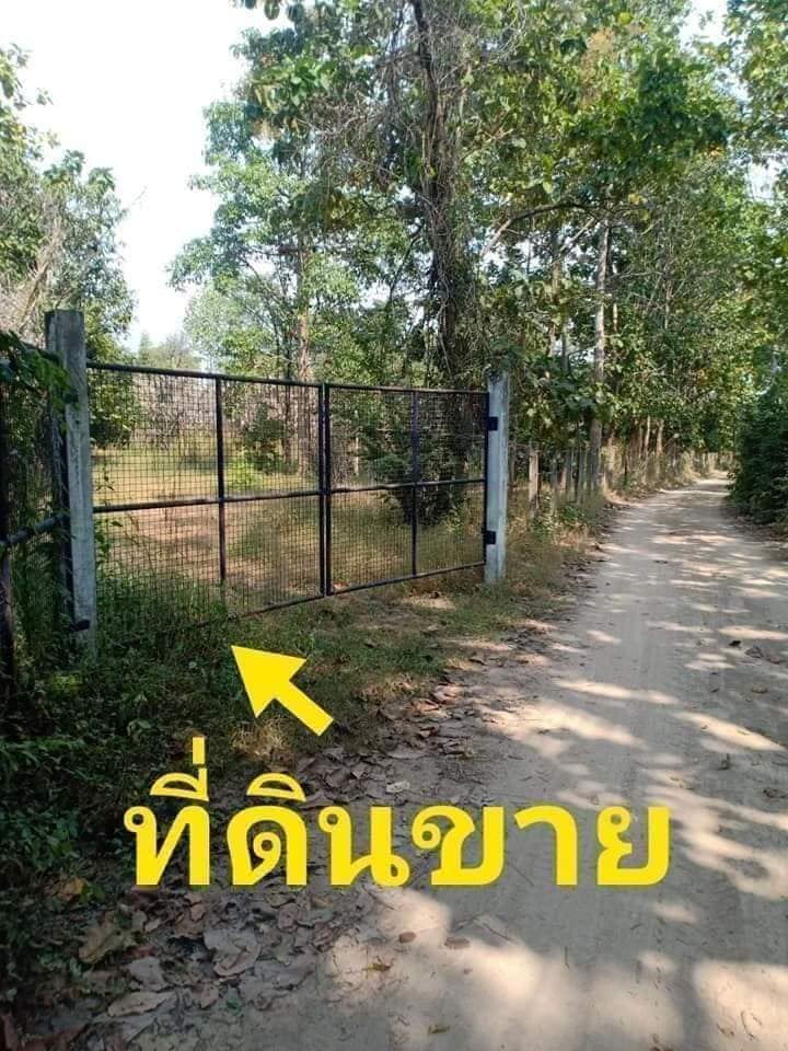 ขายที่ดิน ตาก 2-1-48 ไร่