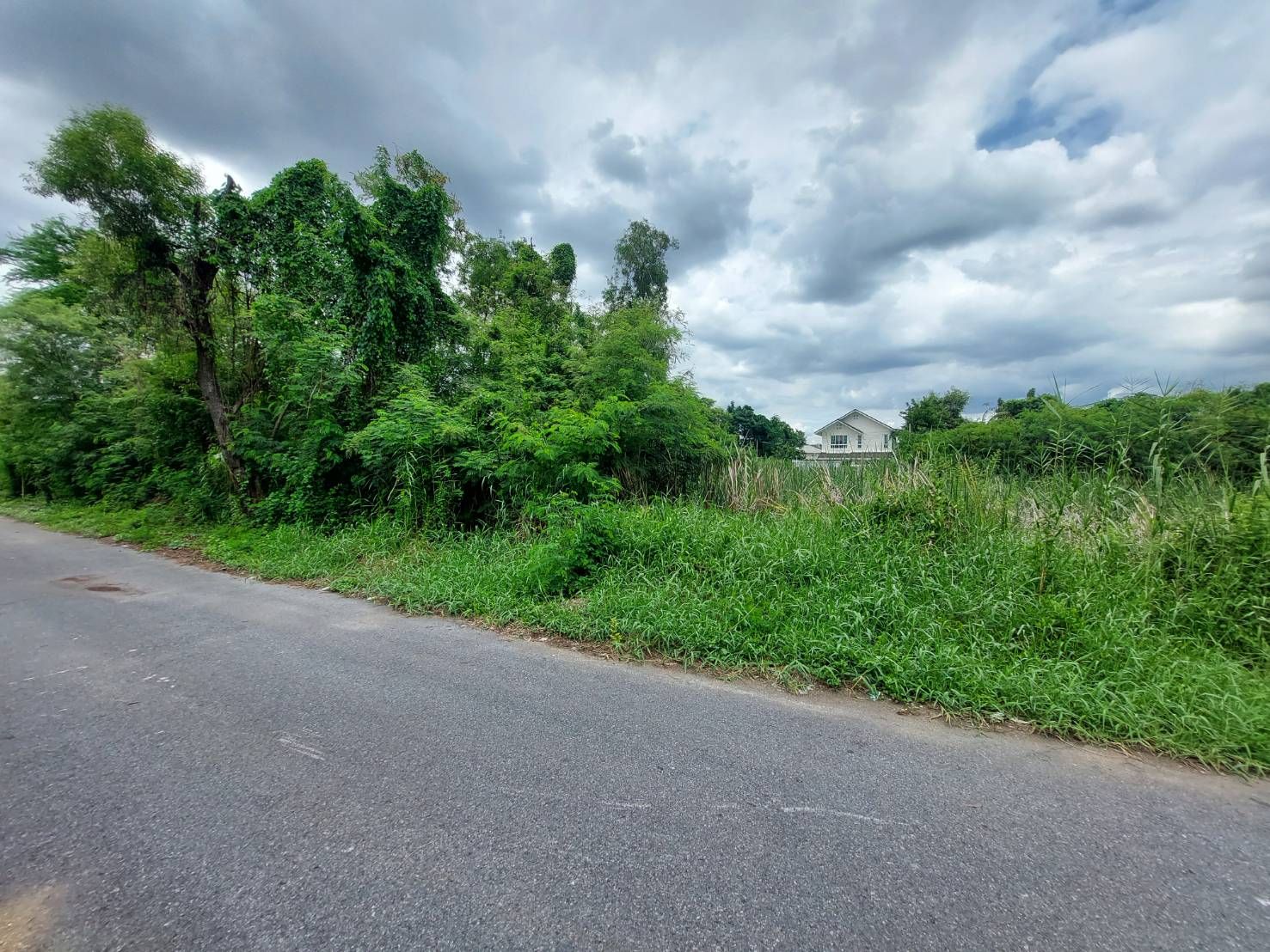 ขายที่ดินเปล่า 194 ตร.ว ซอยรามอินทรา 14 แยก 1 ใกล้รพไฟฟ้าสถานีมัยลาภ
