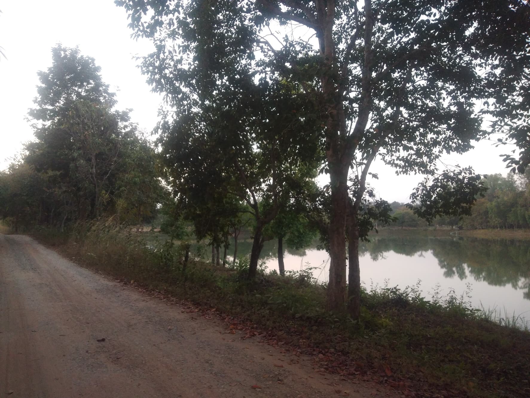 ที่ดินเปล่า อ.ภูเพียง จ.น่าน 1-3-83ไร่