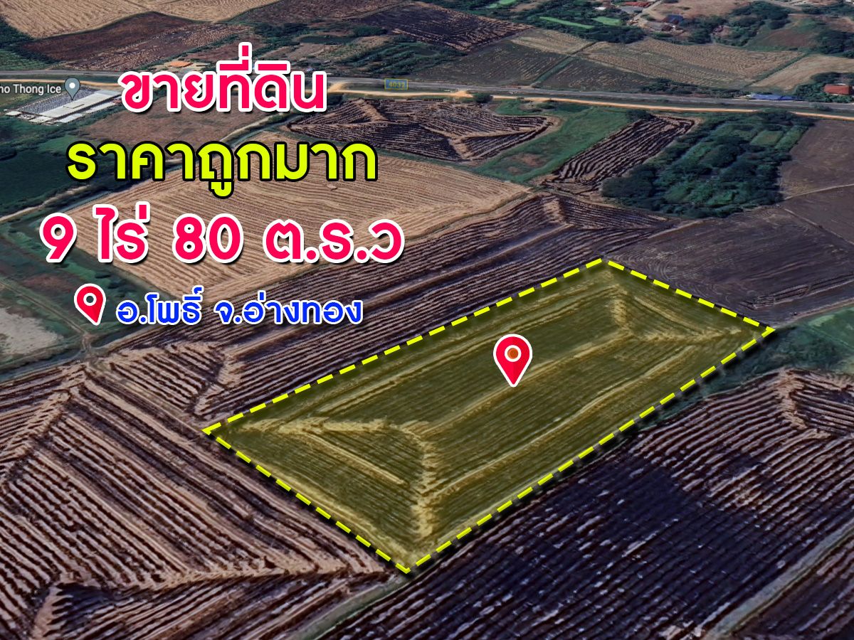 ขายด่วนที่ดิน เนื้อที่ 9 ไร่ 80 ต.ร.ว. โคกพุทรา อ.โพธิ์ทอง จ.อ่างทอง