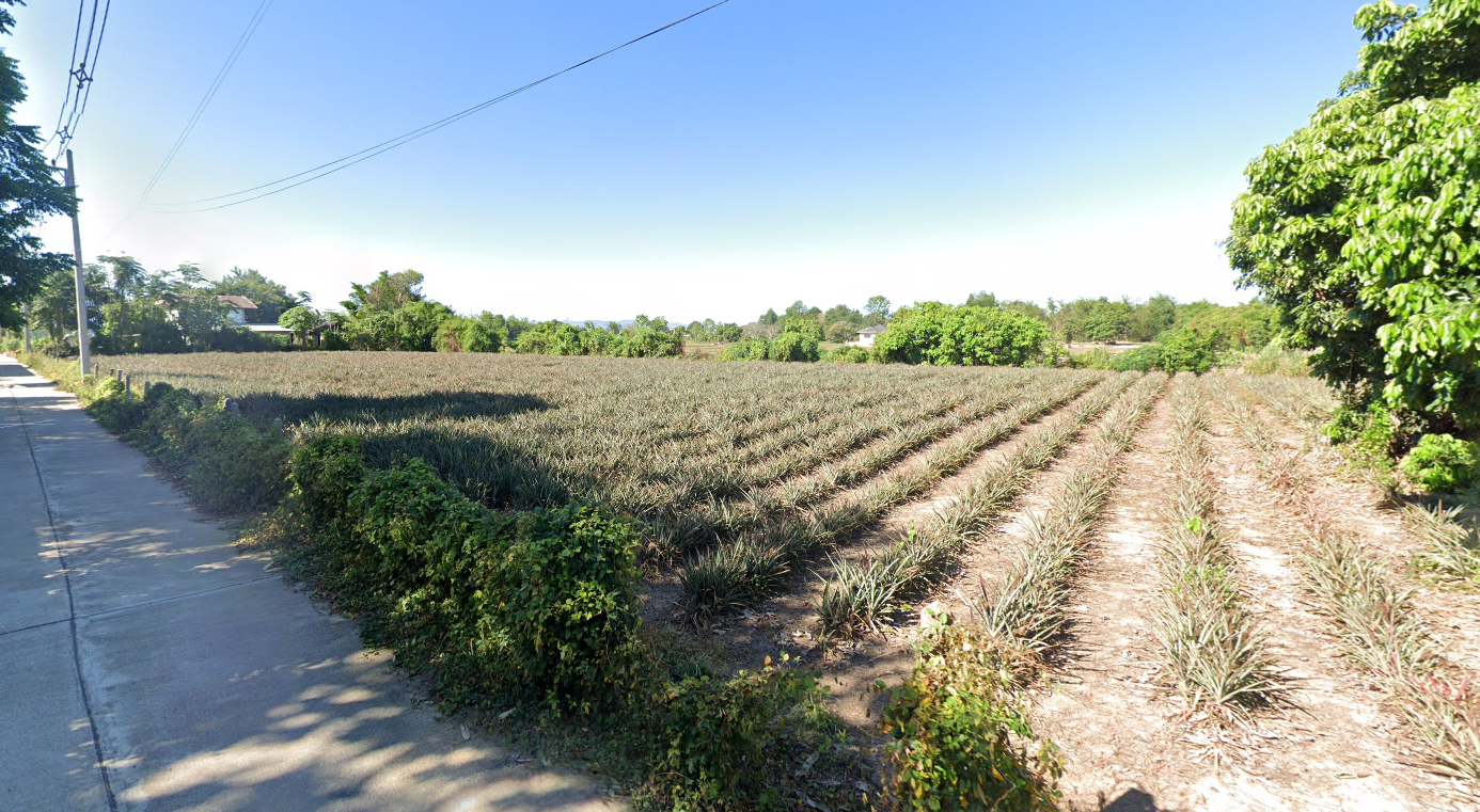 ขายที่ดิน ใกล้สนามบินเชียงราย เมืองเชียงราย