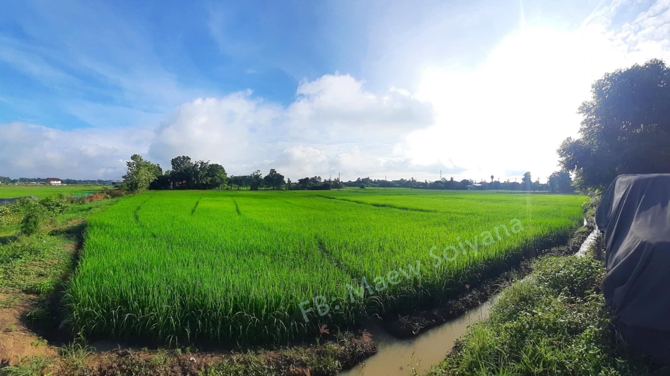 ที่ดินสวย ทำเลดี ราคางาม @ต.บวกค้าง อ.สันกำแพง จ.เชียงใหม่