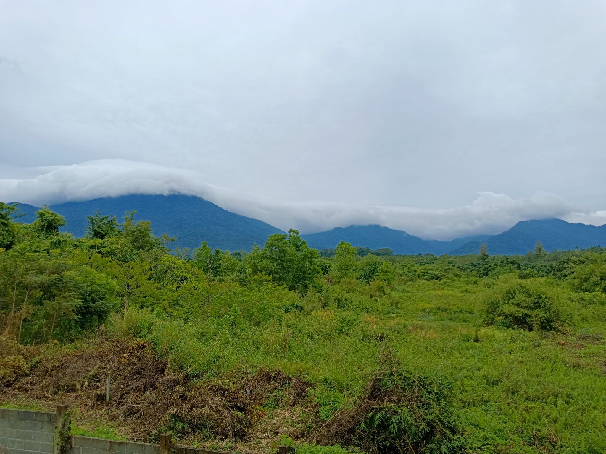 ที่ดินเปล่าจันทบุรี จ.จันทบุรี อ.โป่งน้ำร้อน 58-2-10 ไร่