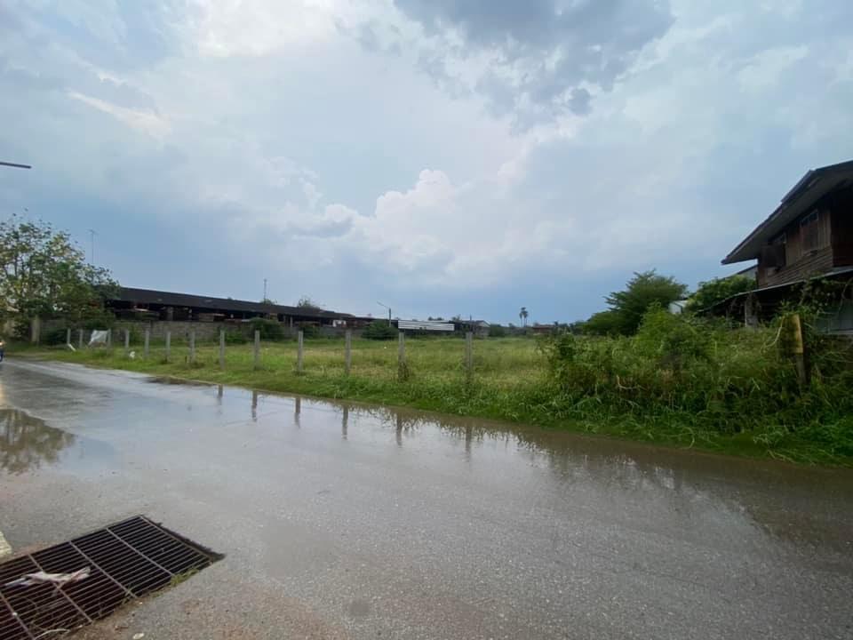 ที่ดินในเมือง ทำเลดี ใกล้ บขส ชัยภูมิ 2-0-45