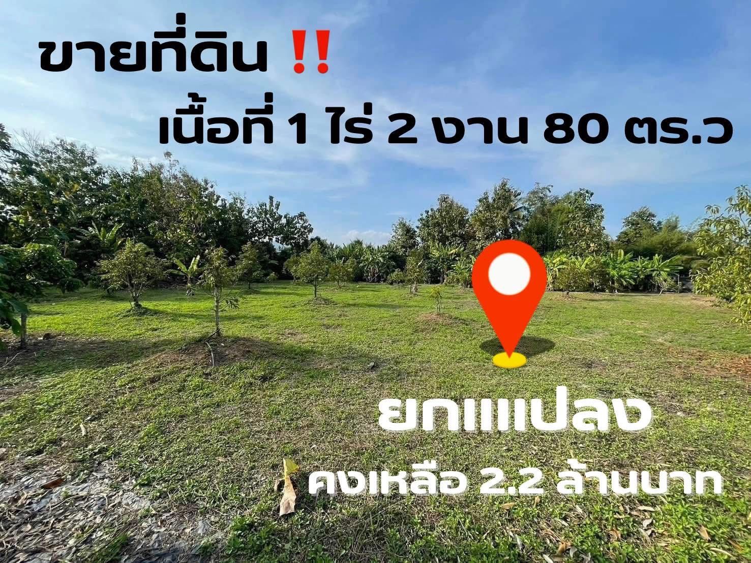 ขายที่ดินเชียงใหม่ อำเภอแม่วาง (สันป่าตอง-แม่วาง) 1 ไร่ 2 งาน 80 ตร.ว.