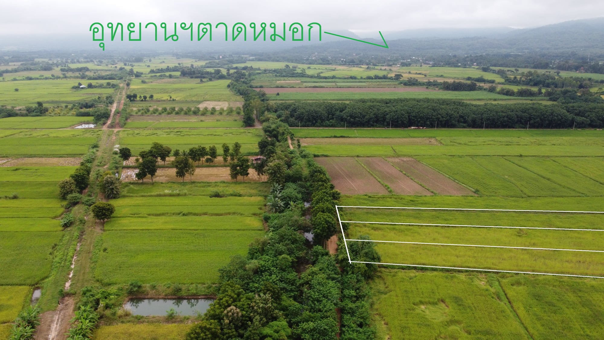 ที่ดินเปล่า เมืองเพชรบูรณ์ 7-0-48 ไร่
