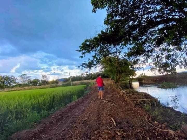 ที่ดินที่นา ป่าซาง ลำพูน 6-1-66