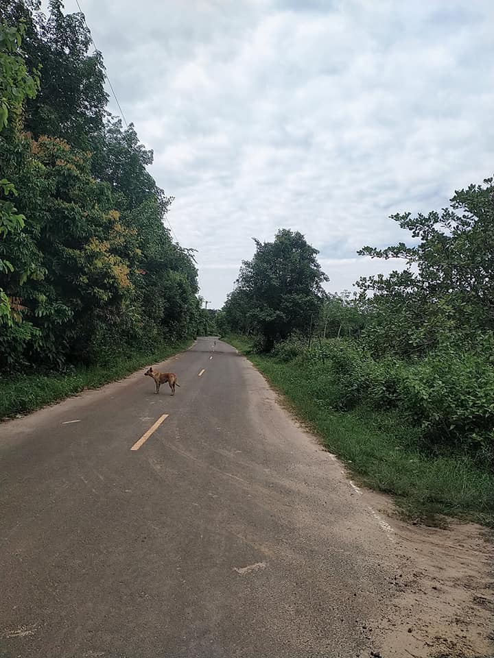 ที่ดินติดถนนสองด้าน อุบลราชธานี 373 ตรว.