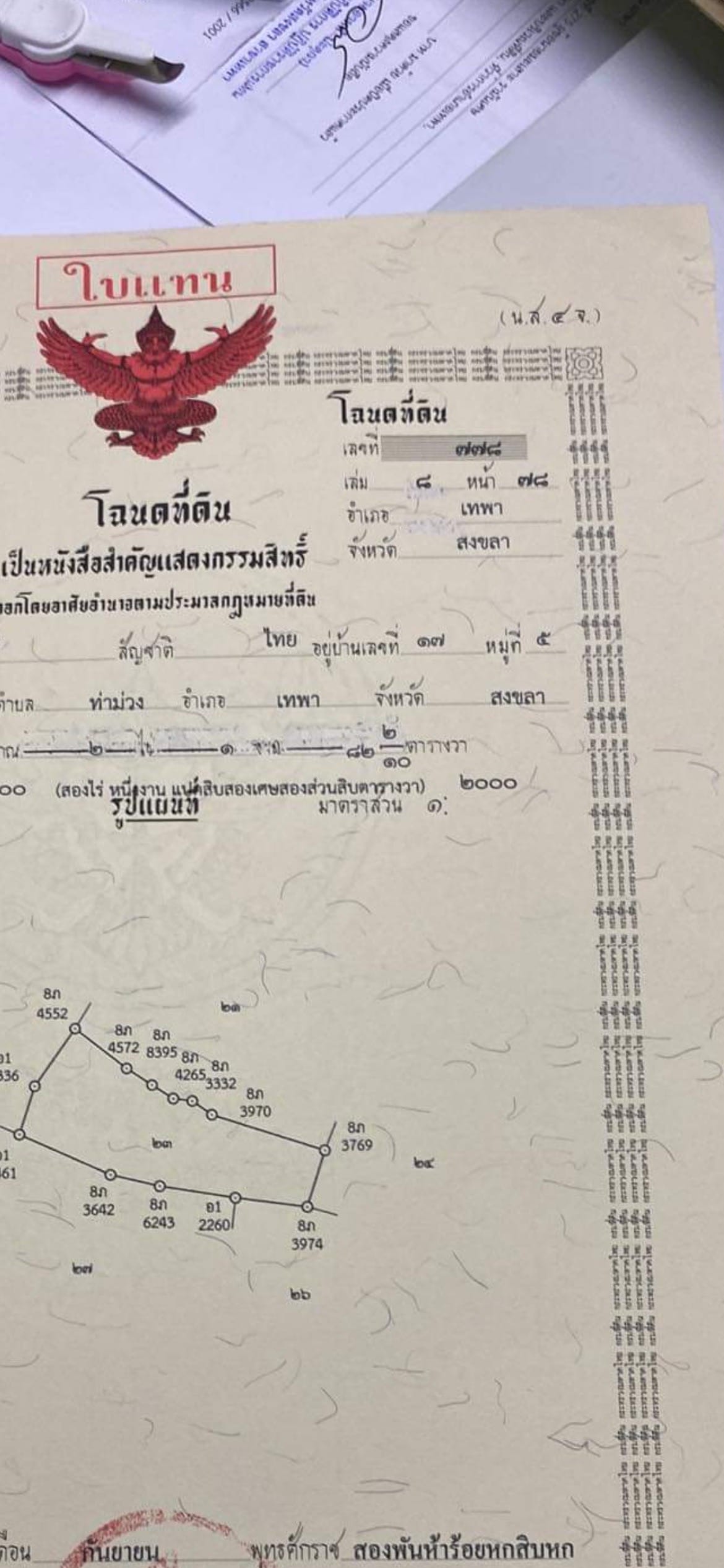 ขายถูกที่ดินนา