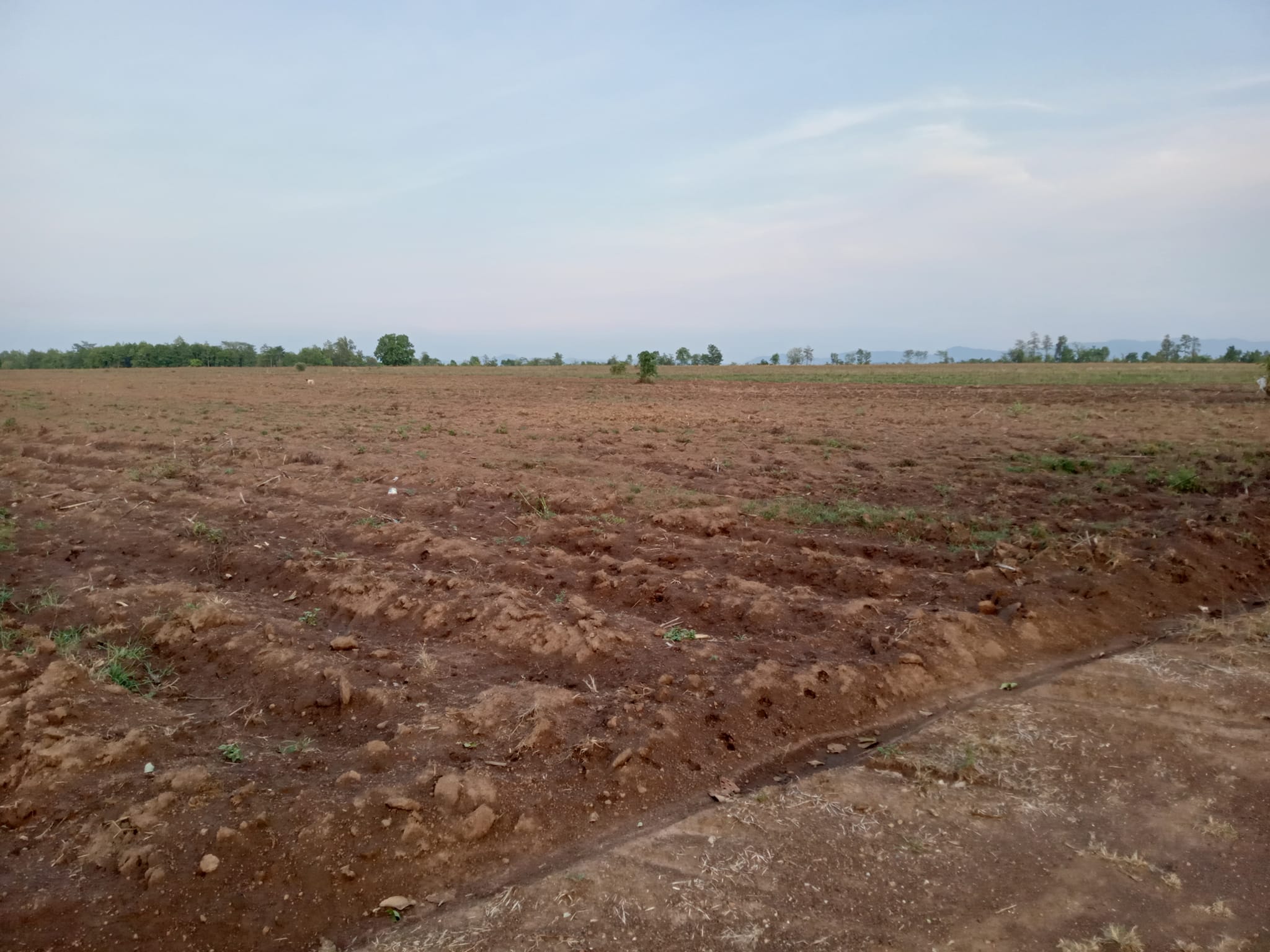 ที่ดินเปล่าแปลงใหญ่ เมืองลำปาง 140-3-8