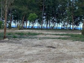 ที่ดินใกล้ชายหาด บางสะพาน ประจวบคีรีขันธ์ 2 งาน