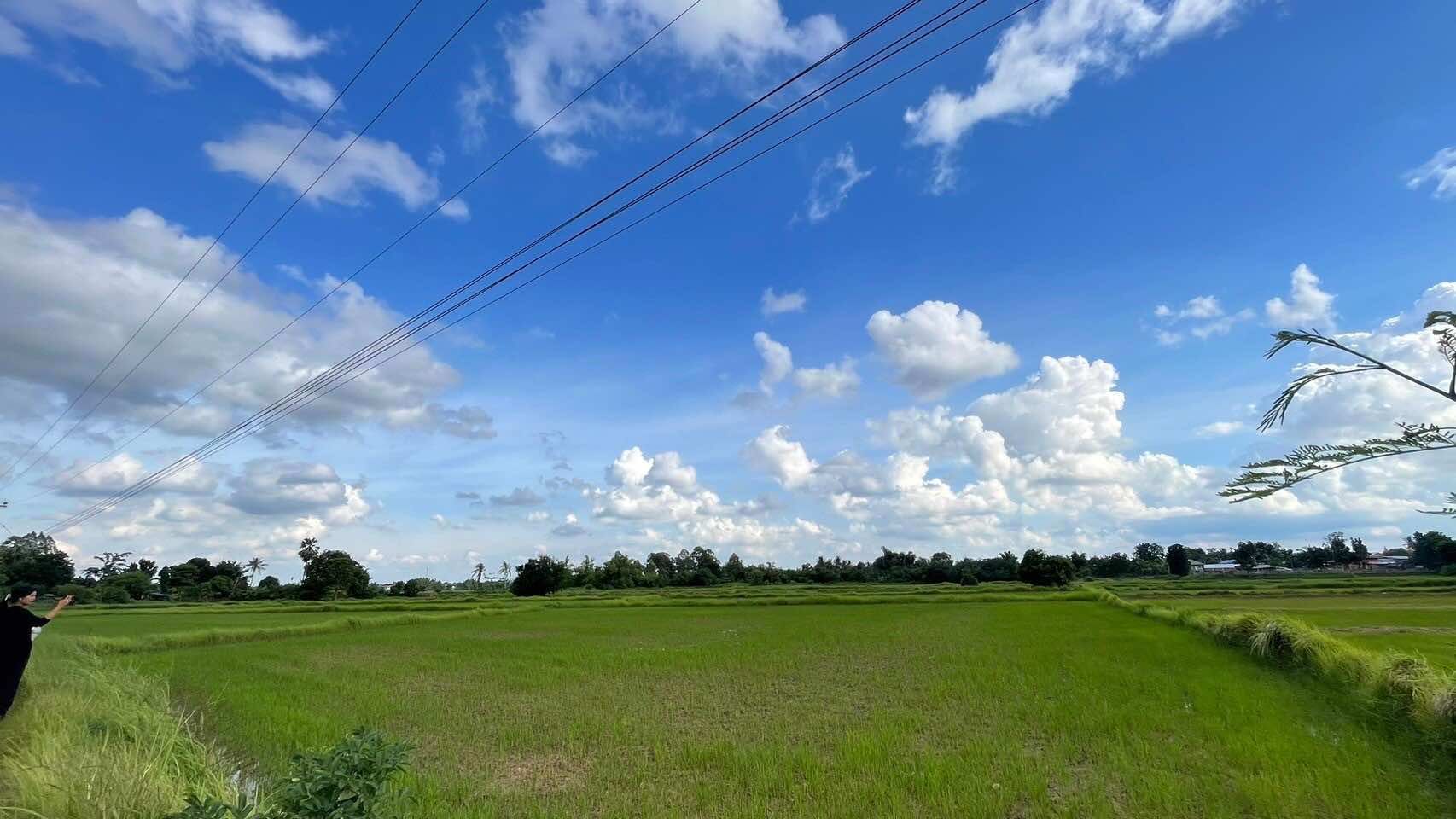 ขายที่ดิน 7-2-80 ตรว.
