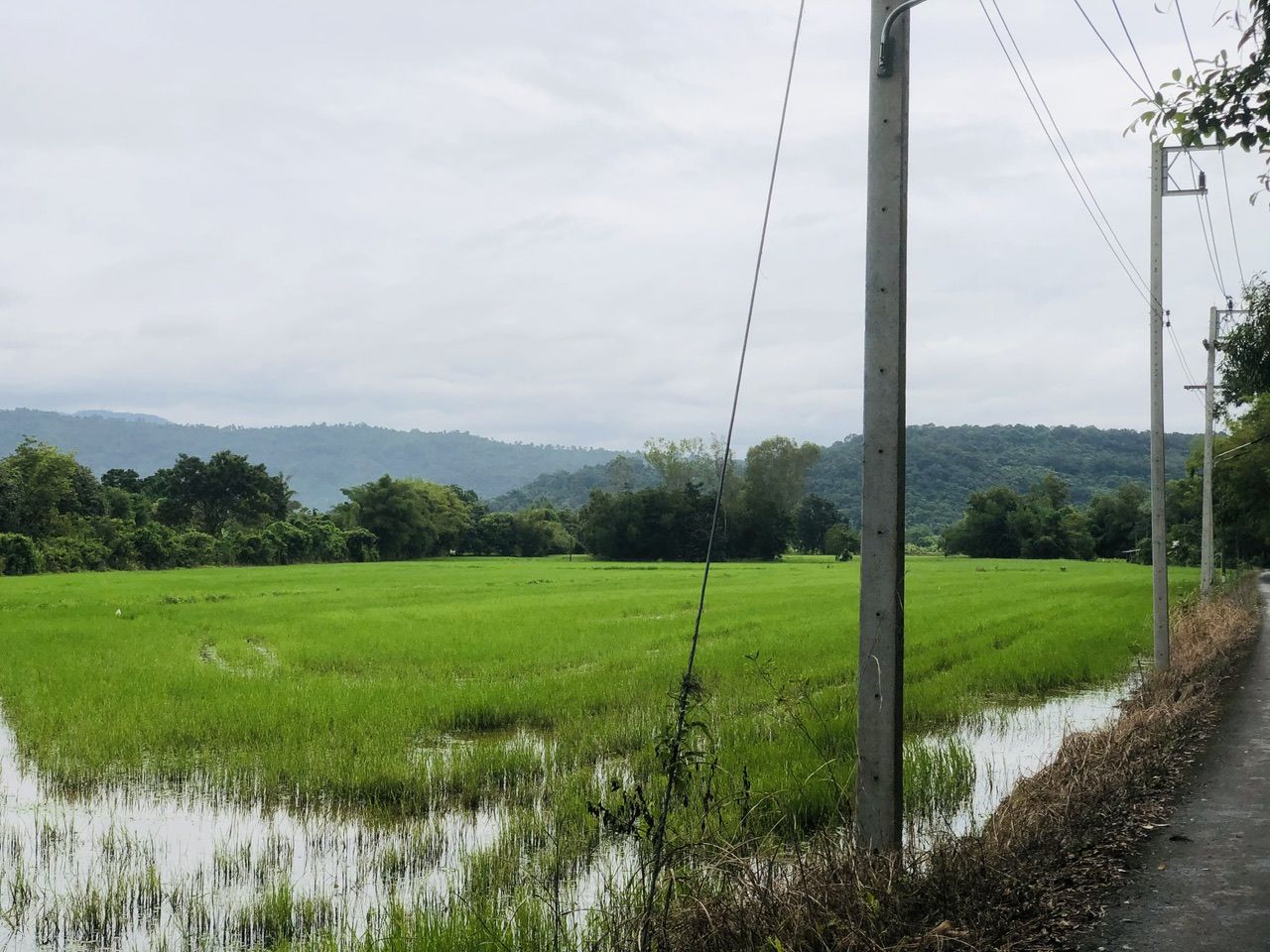 ขายที่ดิน