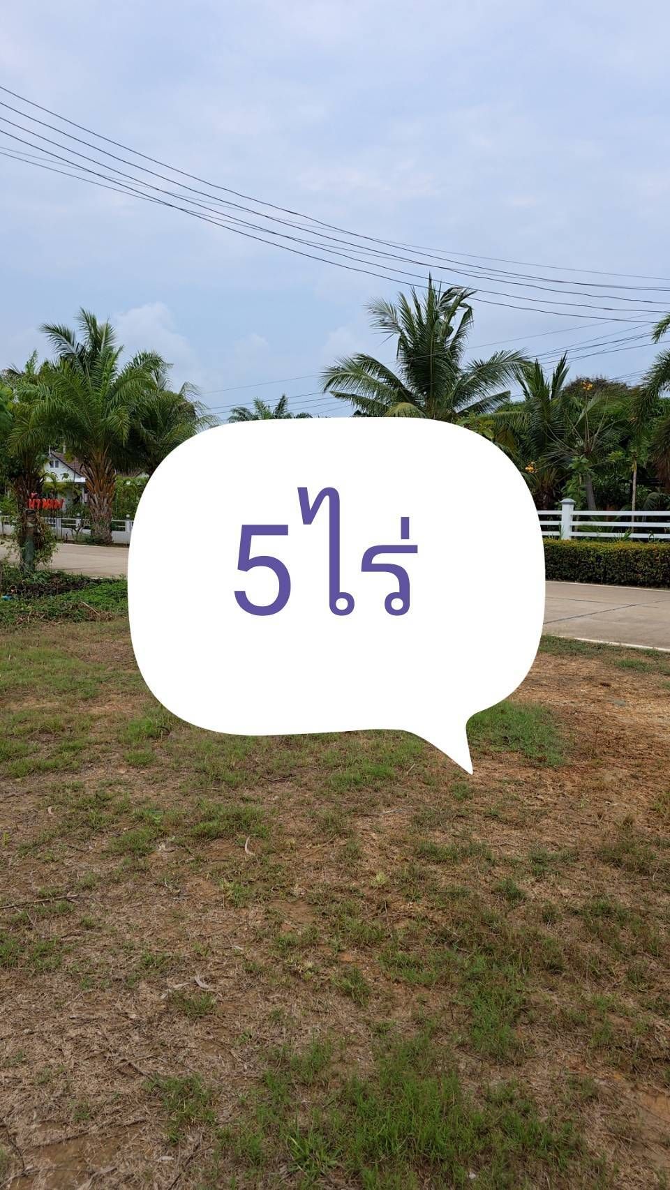 ขายที่ดินระยอง เมืองระยอง ที่ดินเปล่า แปลงสวย ติดถนนสาธารณะ น่าลงทุนมาก 