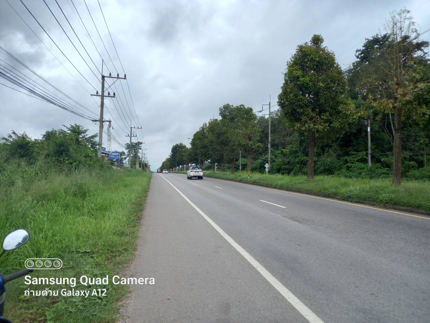 ขายที่ดิน สุราษฎร์ธานี 7-0-87.9 ไร่