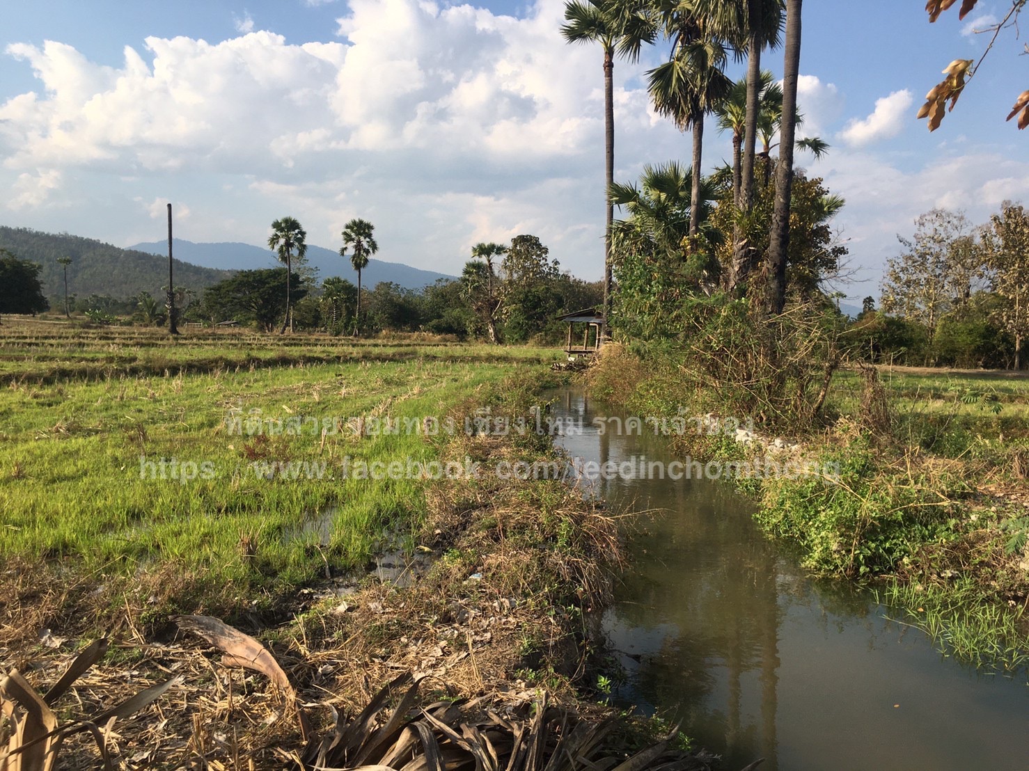 ขายที่นาวิวเขา จอมทอง เชียงใหม่ 5-1-26