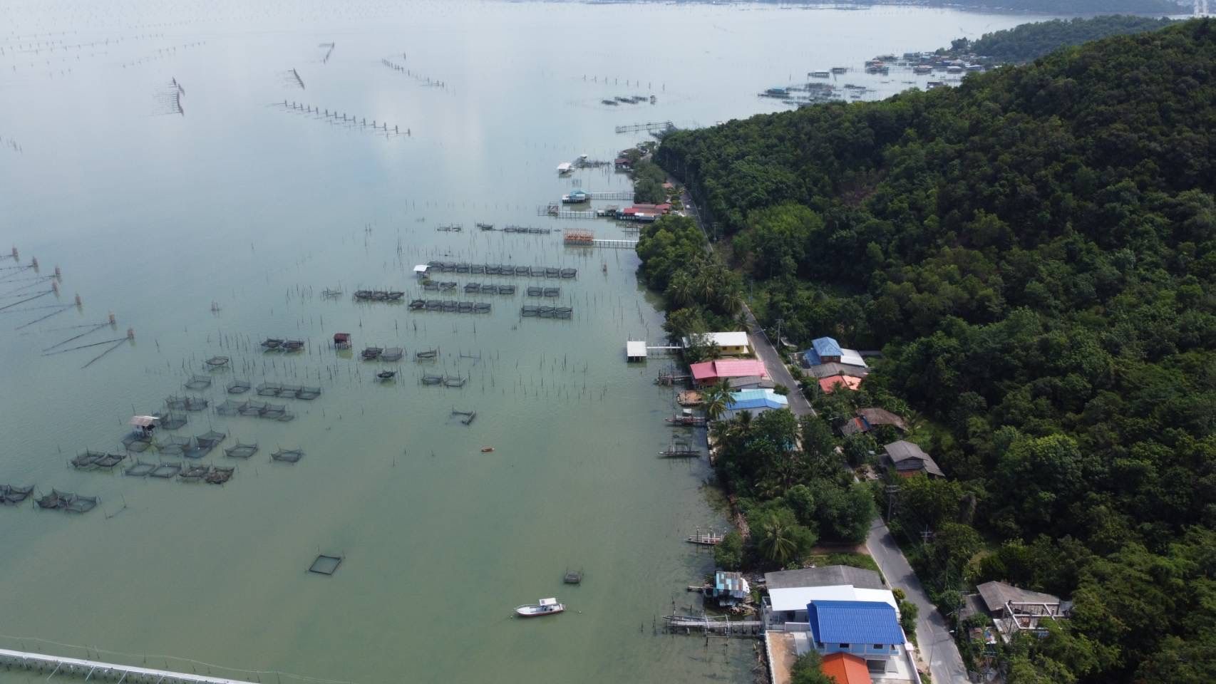 ขายที่ดิน เกาะยอ สงขลา 8-1-36.3 ไร่