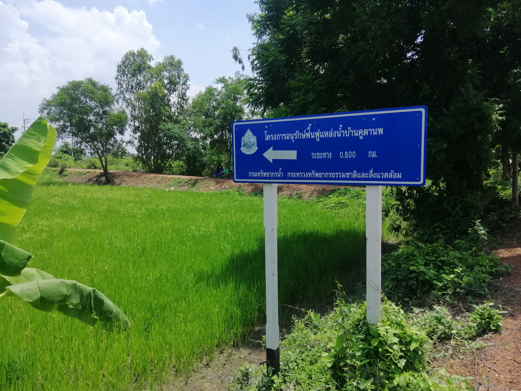 ที่ดินเปล่า เหมาะทำเกษตรกรรม อ.บ้านสร้าง จ.ปราจีนบุรี 29-2-75 ไร่