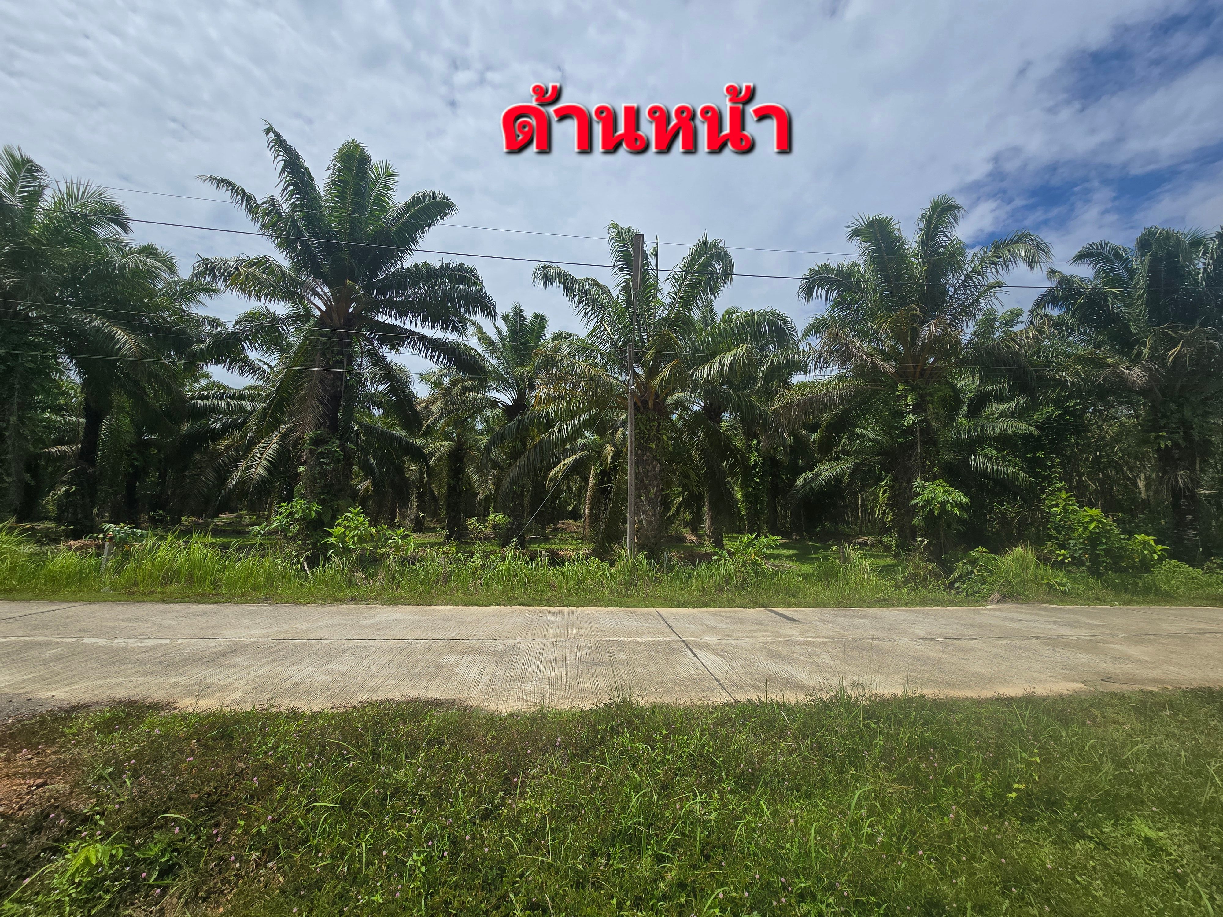 ขายที่ดินใกล้สนามบินอันดามันพังงา