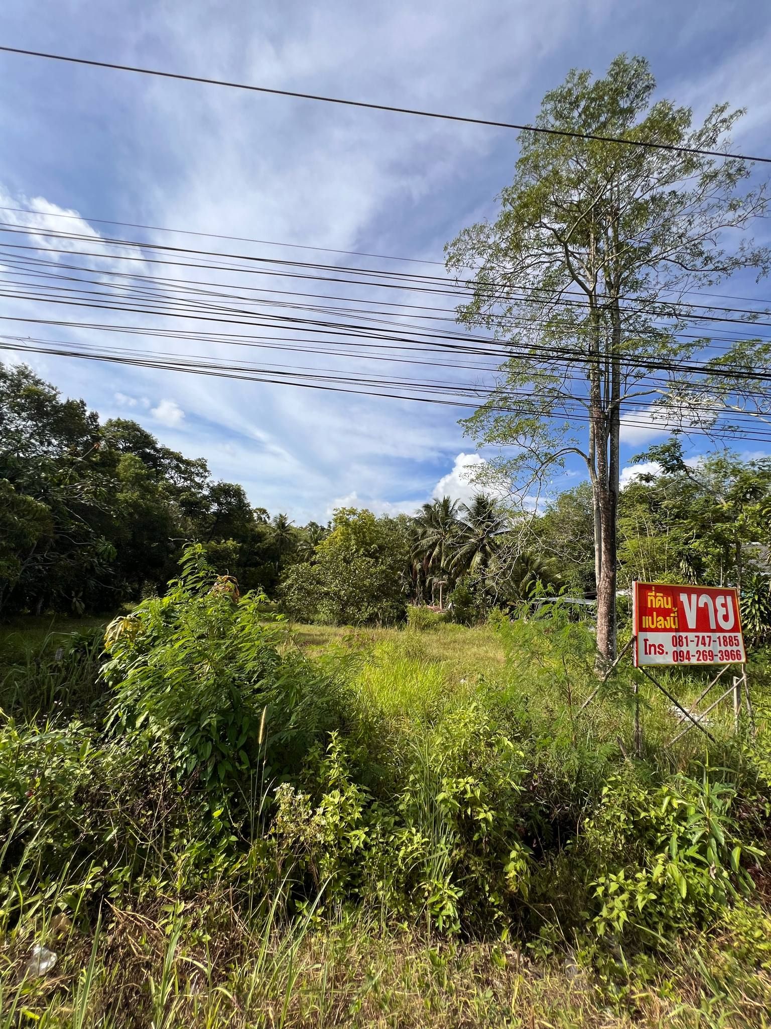 ขายที่ดินสงขลา อำเภอเมือง ที่ดินเปล่าติดถนน ห้วยขัน-ทุ่งหวัง ใกล้ชุมชน น่าลงทุน 1-0-82.5 ไร่.