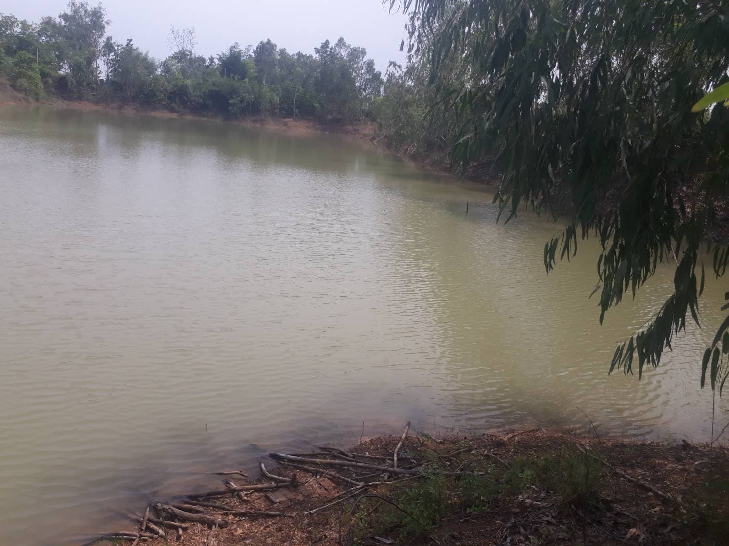 ที่ดินแปลงใหญ่ เมืองแพร่ 120-2-21.3