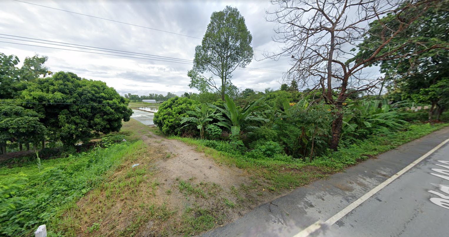 ขายที่ดินเชียงราย เวียงชัย 1-1-99.8