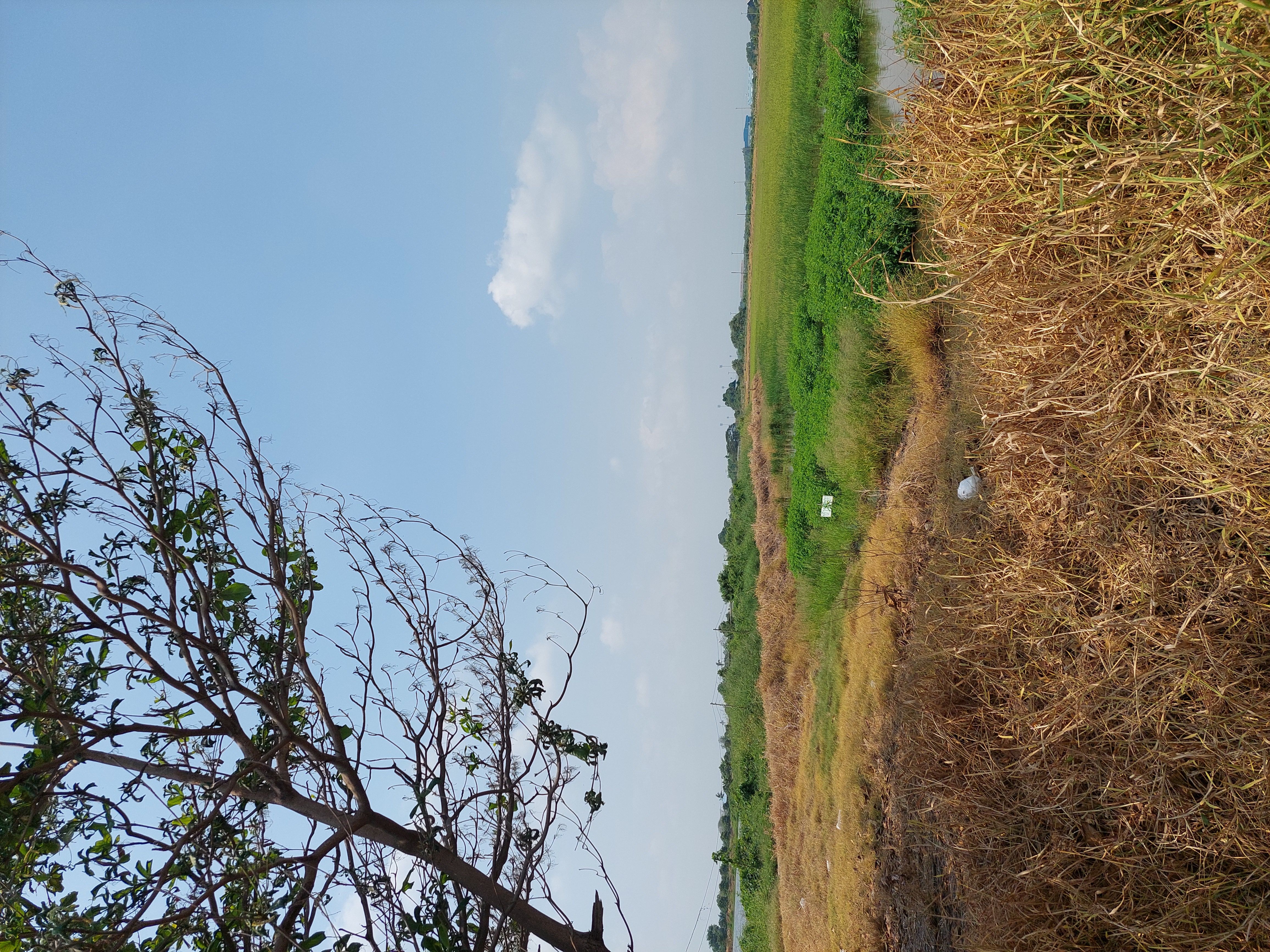 ขายที่ดิน บางบ่อ สมุทรปราการ 75-1-60 ไร่