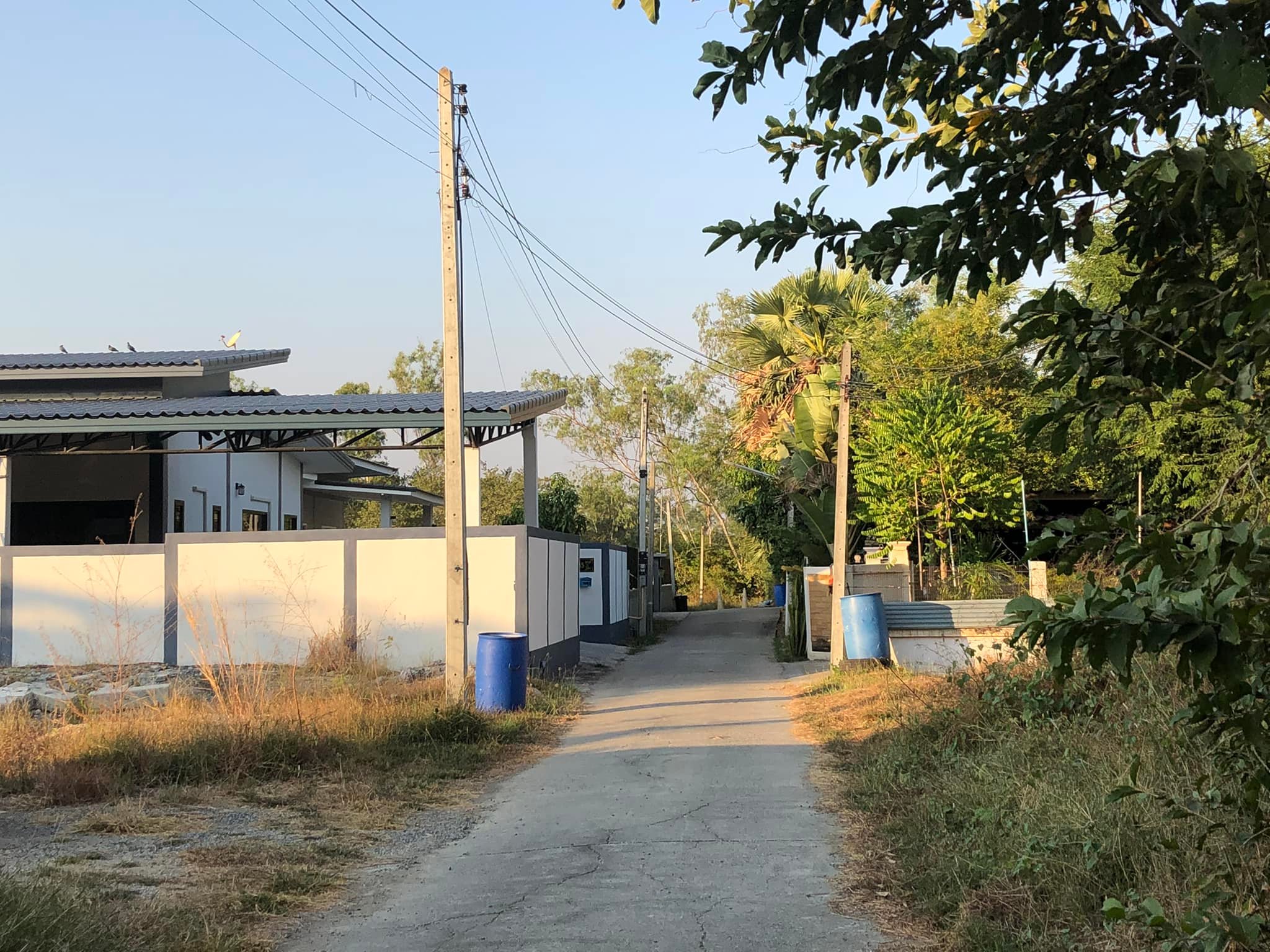 ขายที่ดินลพบุรี อ.เมืองลพบุรี 0-1-50 ตรว.
