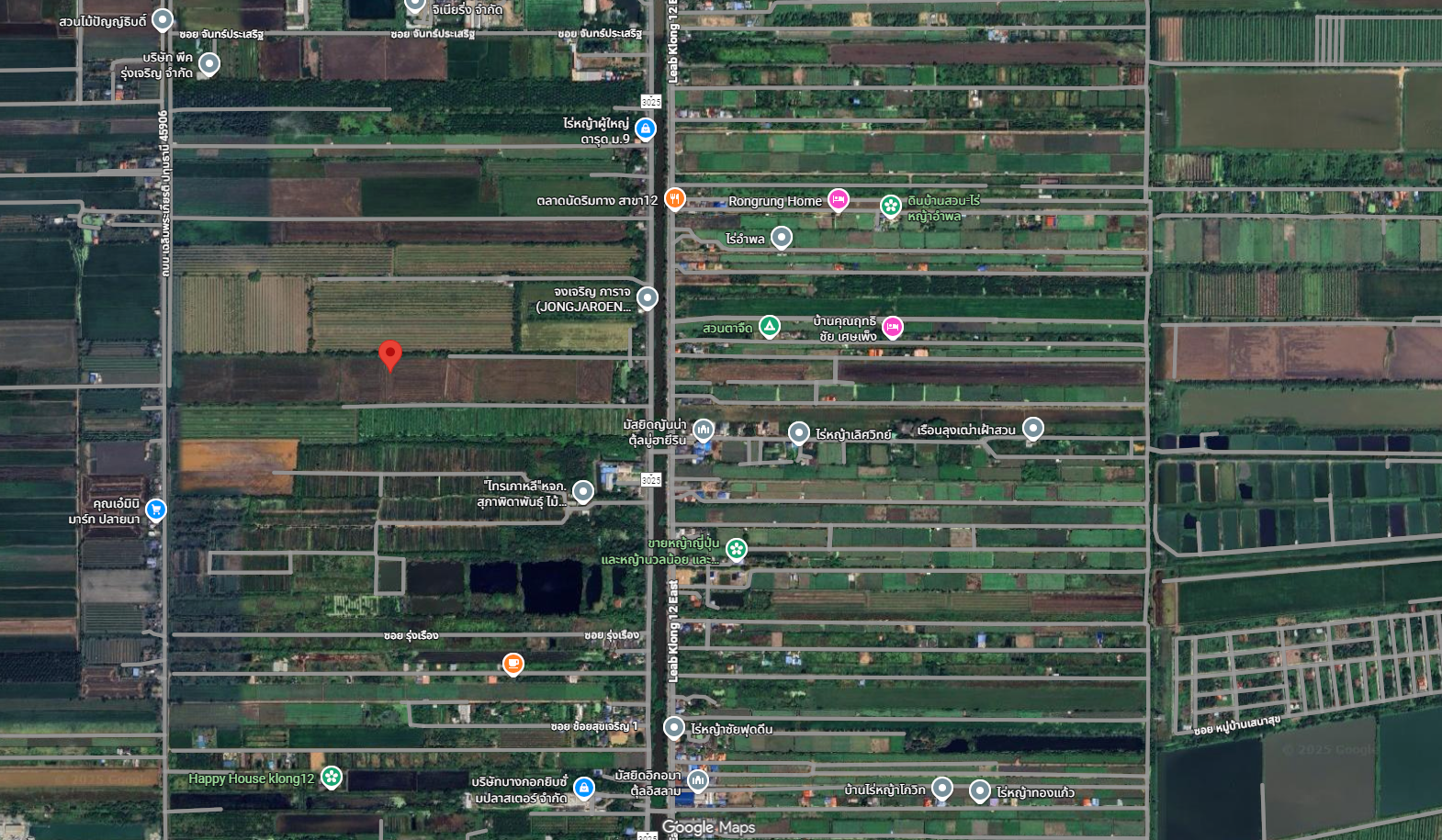 ขายที่ดินปทุมธานี หนองเสือ ที่ดินแปลงใหญ่ เหมาะลงทุนมาก 