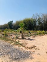 ที่ดินสวยใกล้ถนนลาดยาง  120 ตรว. นครนายก
