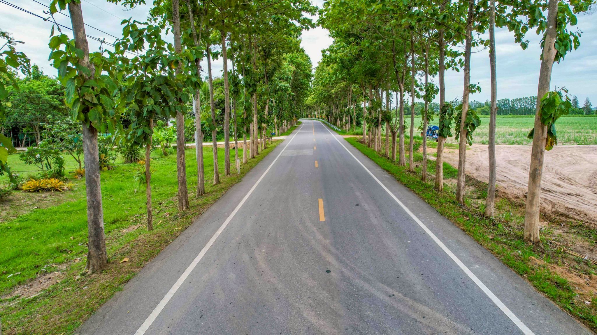 ขายที่ดินเพชรบุรี ชะอำ ขายด่วน ที่ดินแบ่งขาย