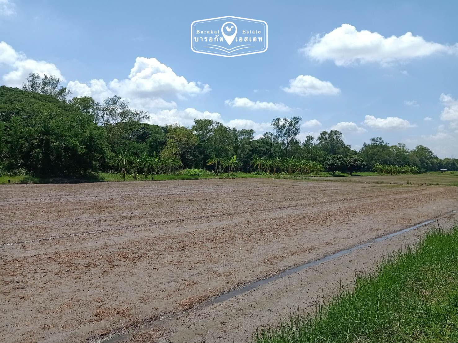 ที่สวย ทำเลดี ติดถนน เขตหนองจอก จังหวัดกรุงเทพฯ